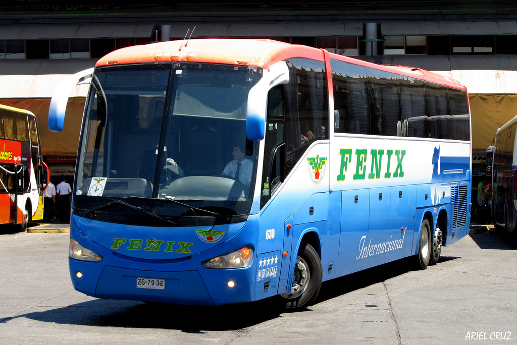 Buses Fenix Internacional