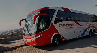 Buses Tas Choapa