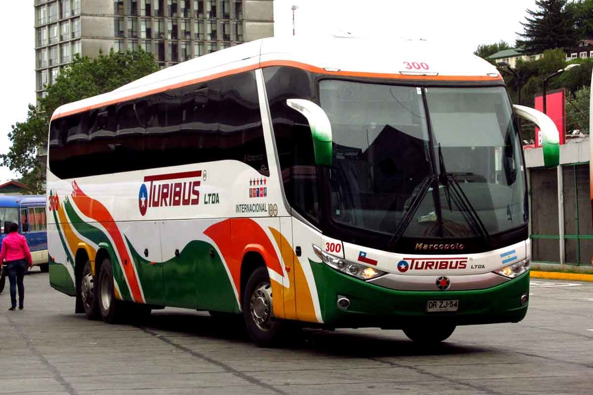 Buses Turibus