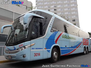 buses-golondrina