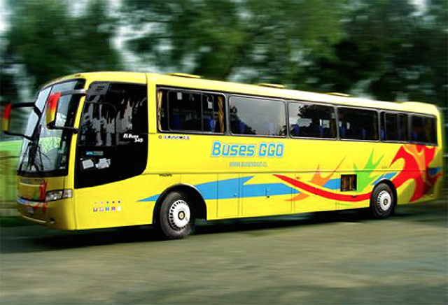buses ggo