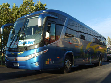 gama-bus