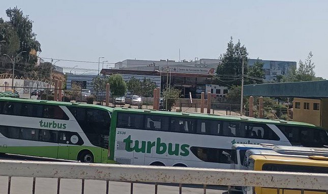 terminal buses la ligua