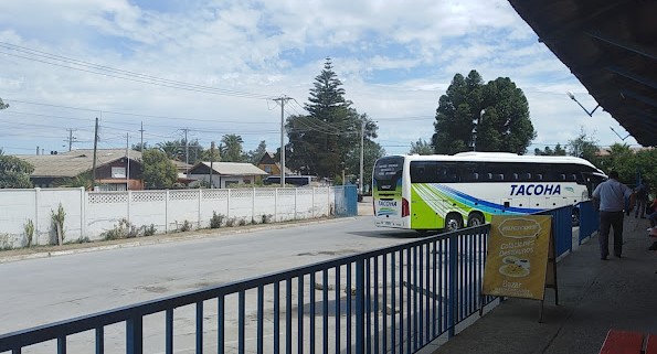 terminal buses las cabras
