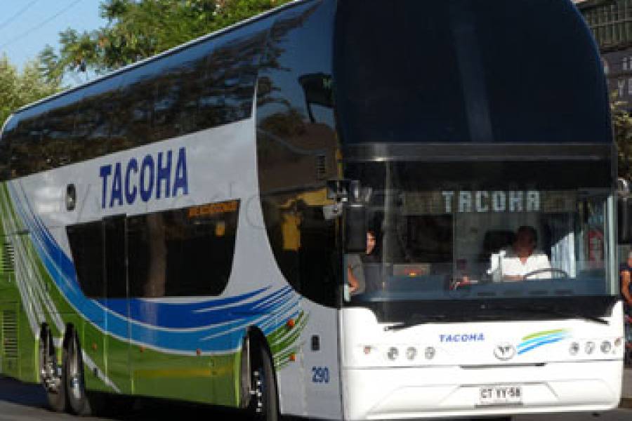 Buses Tacoha