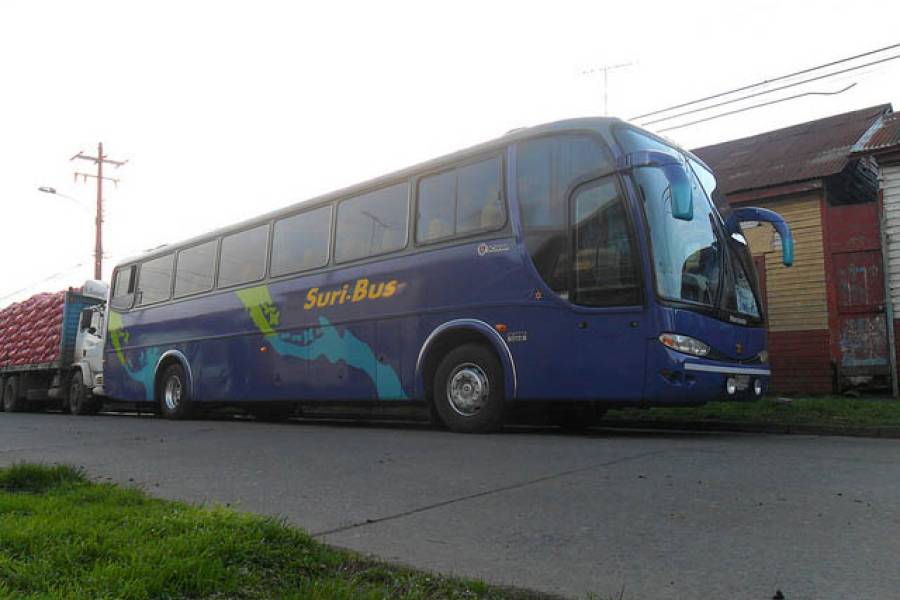 Buses Suribus