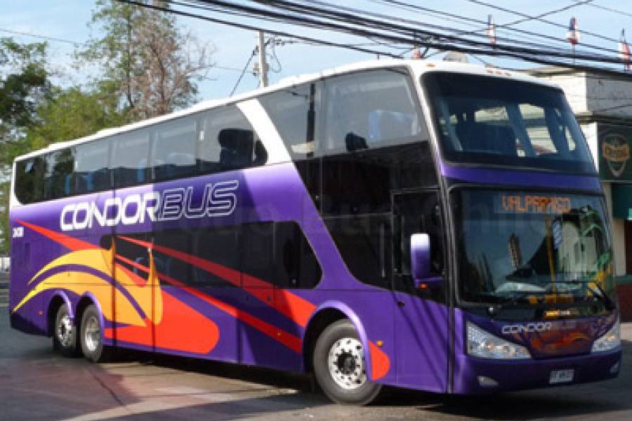Condor Bus