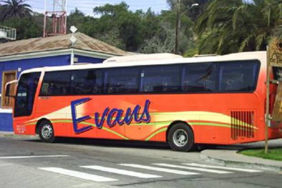 Buses Evans