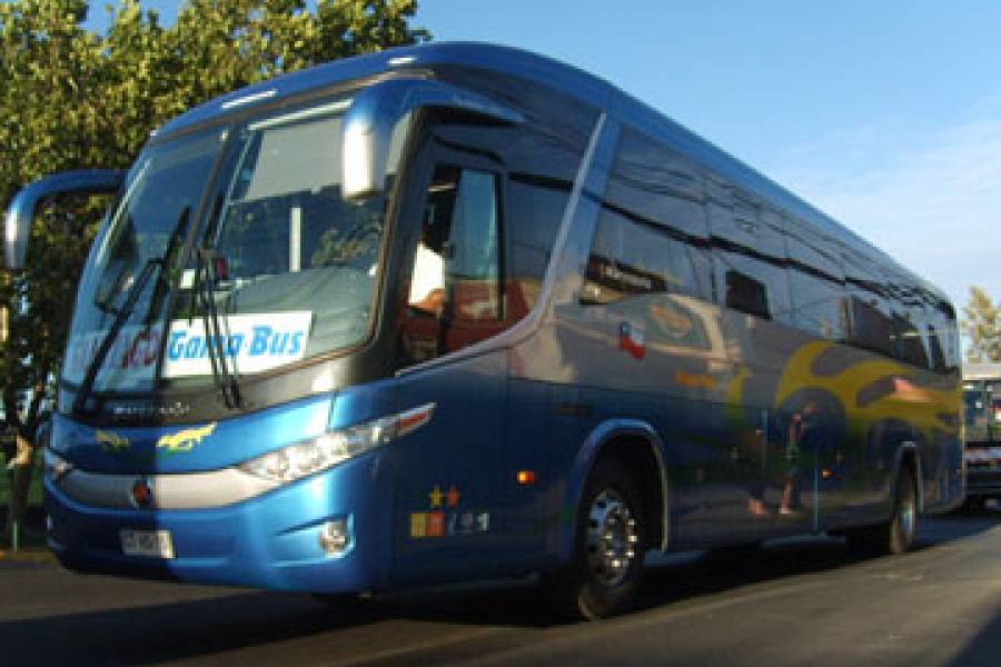 Buses Gama Bus