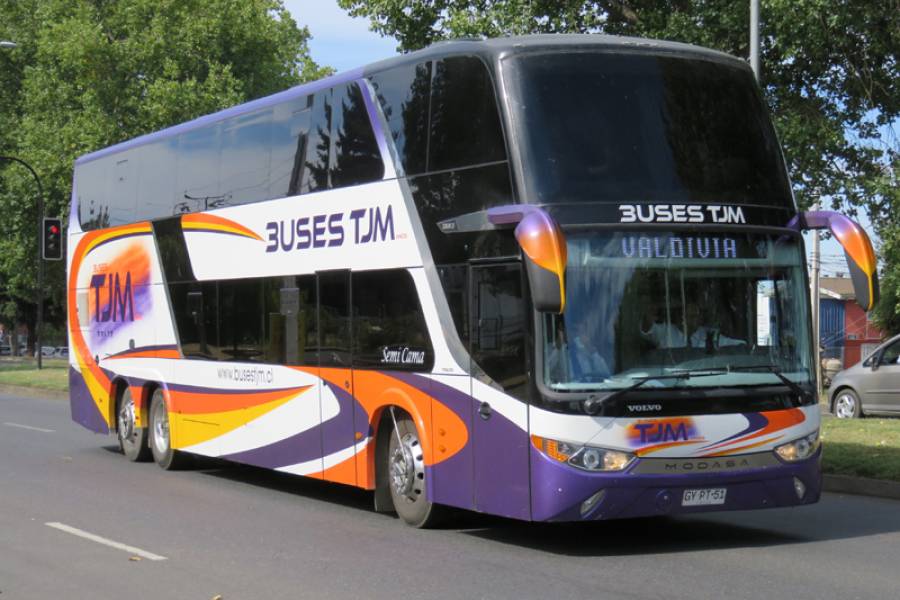 Buses TJM